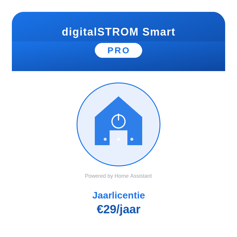 [DS-PRO-YEAR] Digital Strom - Smart Pro - Yearly License