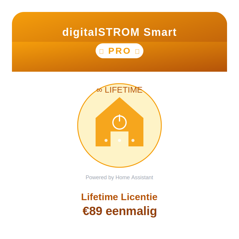[DS-PRO-LIFE] digitalSTROM Smart Pro - Lifetime